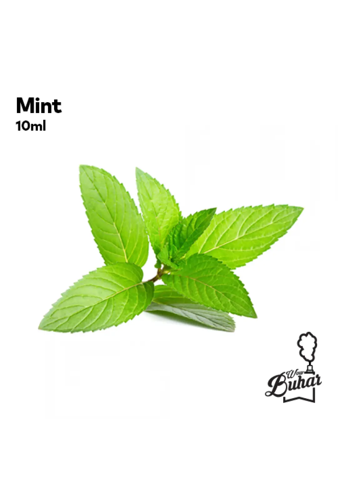 Fresh Mint Leaves