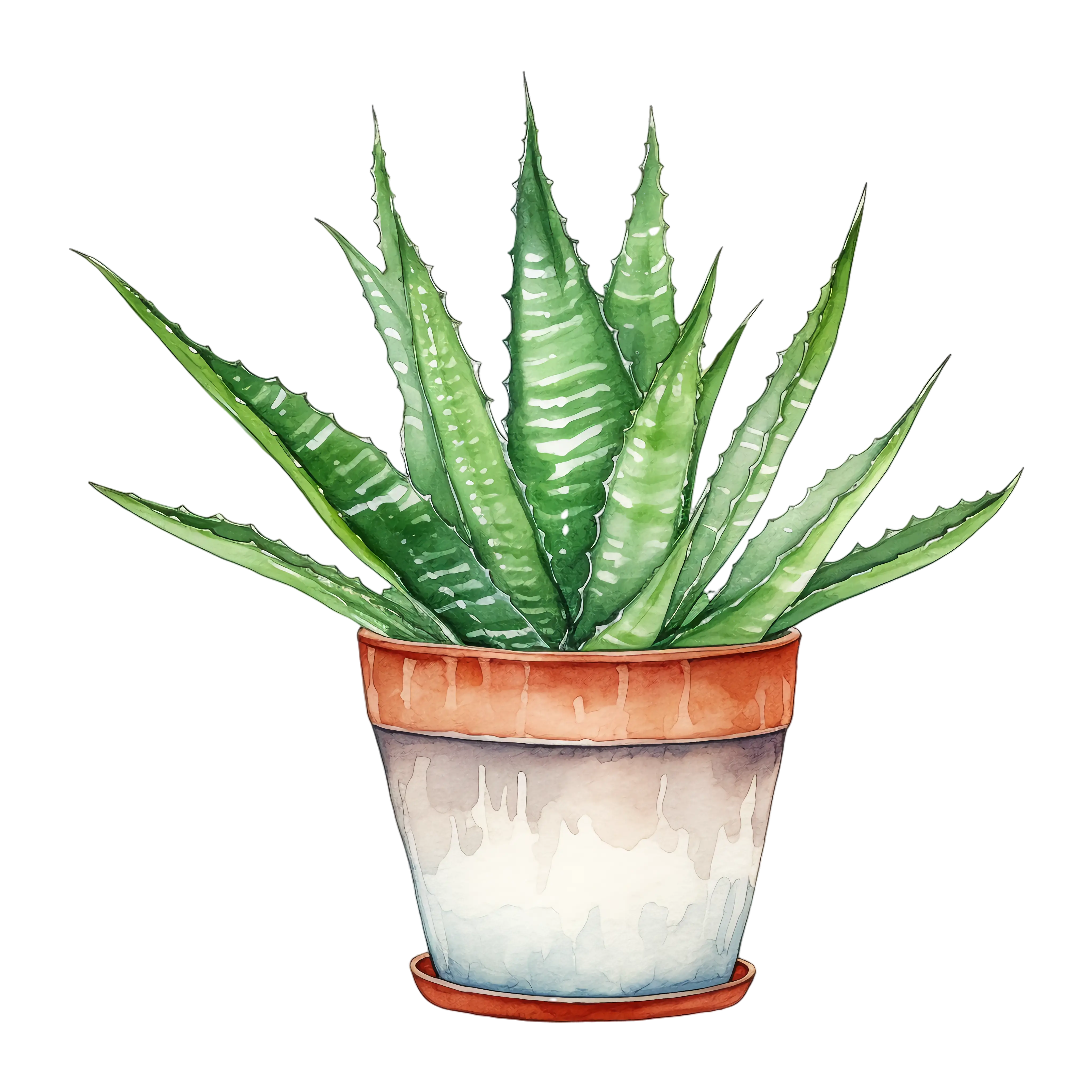 Mini Aloe Vera Illustration in a Ceramic Pot