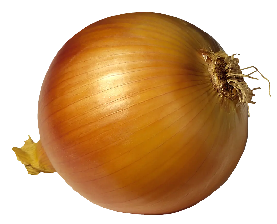 Whole Yellow Onion