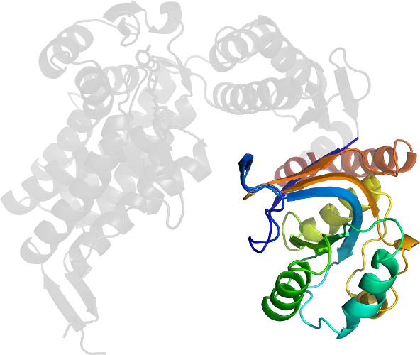 Protein Structure Illustration in Science