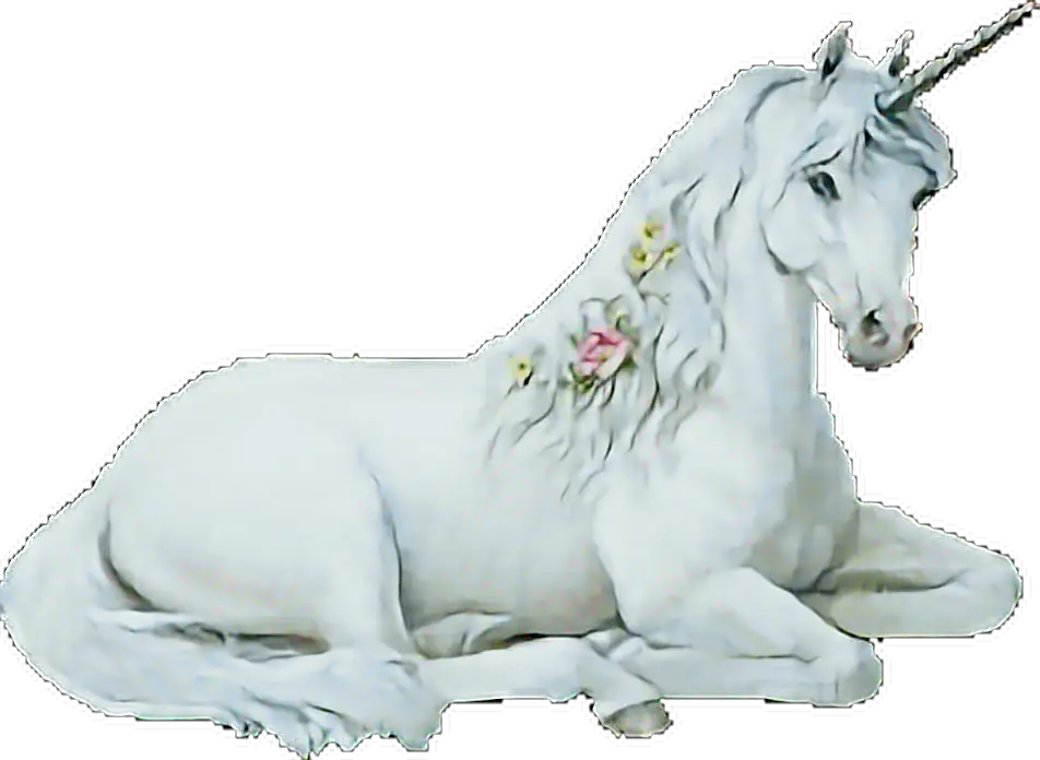 White Unicorn with Flowers