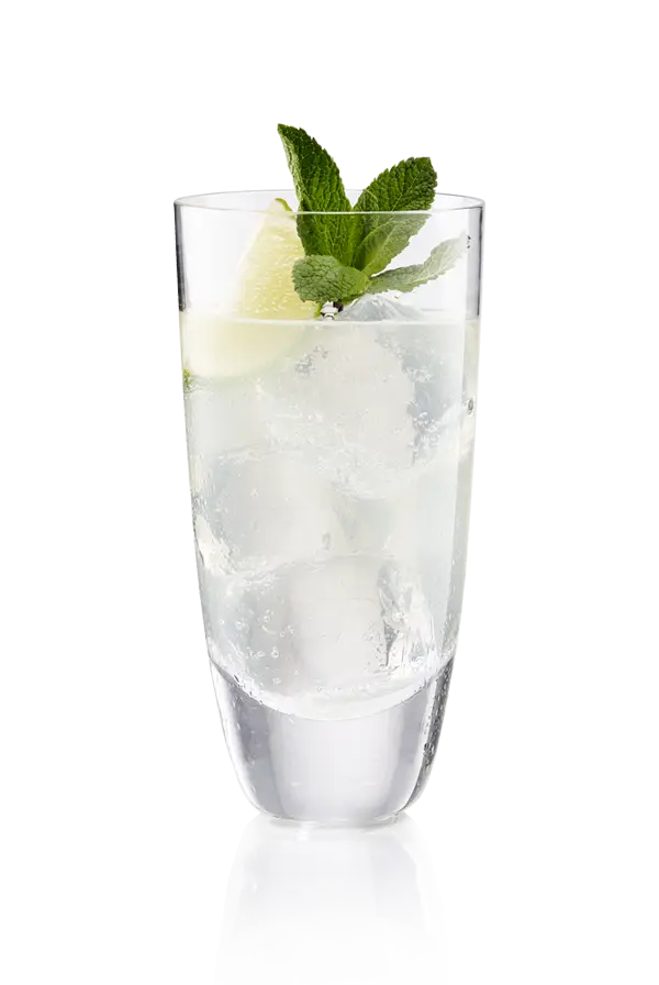 Iced Lemonade with Mint Garnish