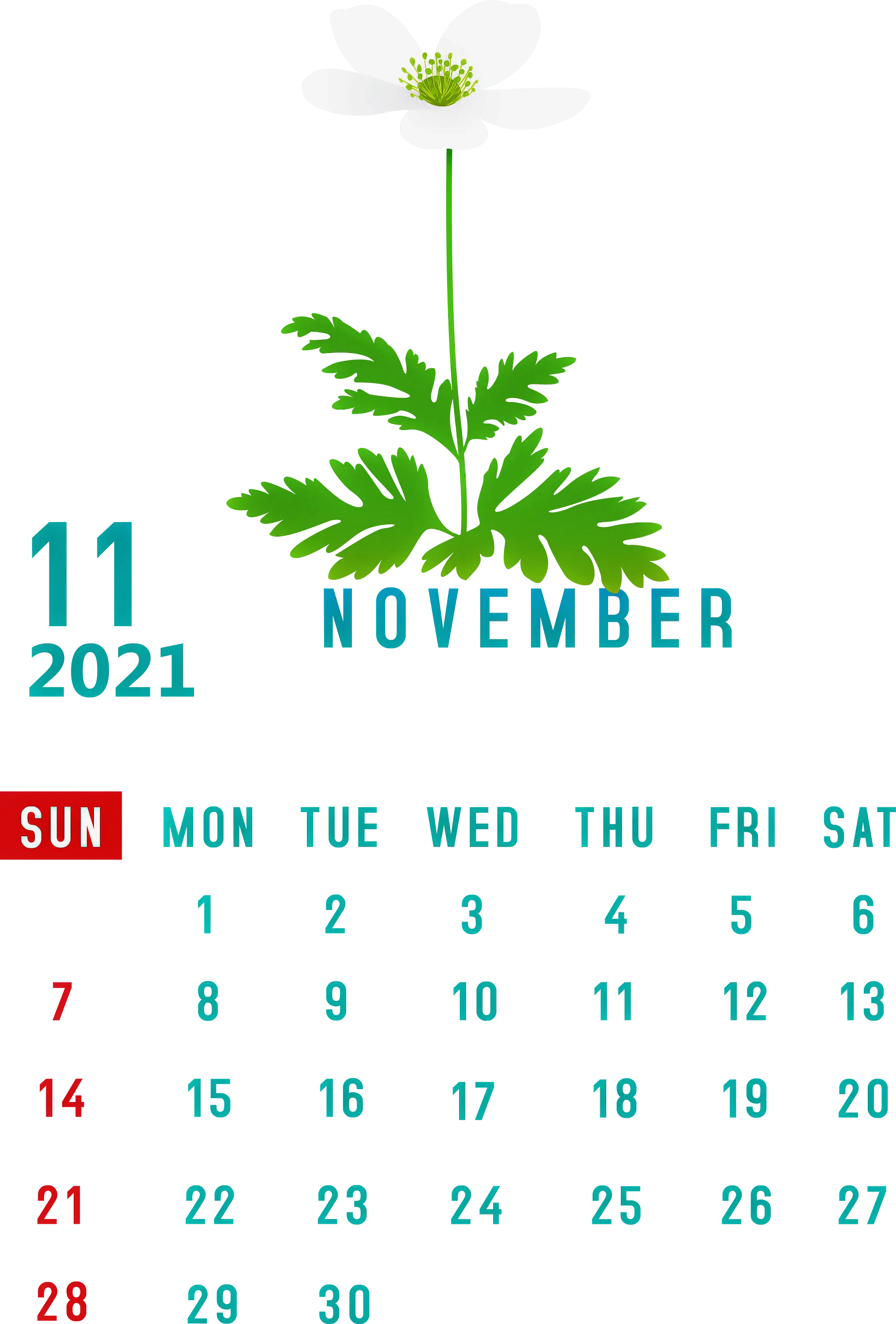 White Flower Calendar for November 2021