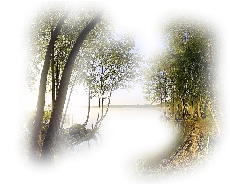Peaceful Lake and Trees Landscape
