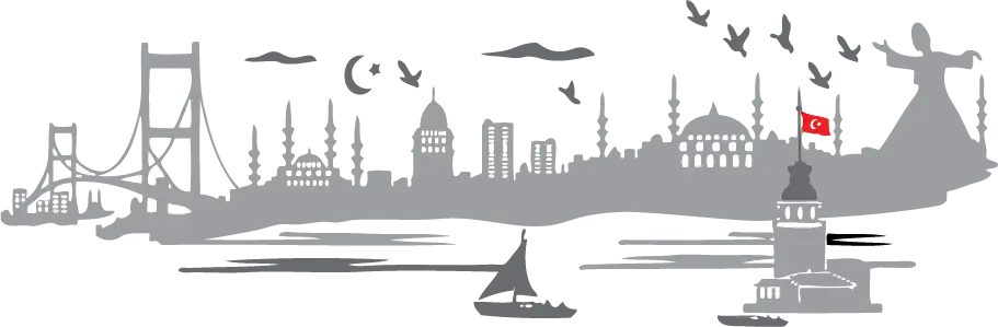 Iconic Istanbul City Skyline in Artistic Design