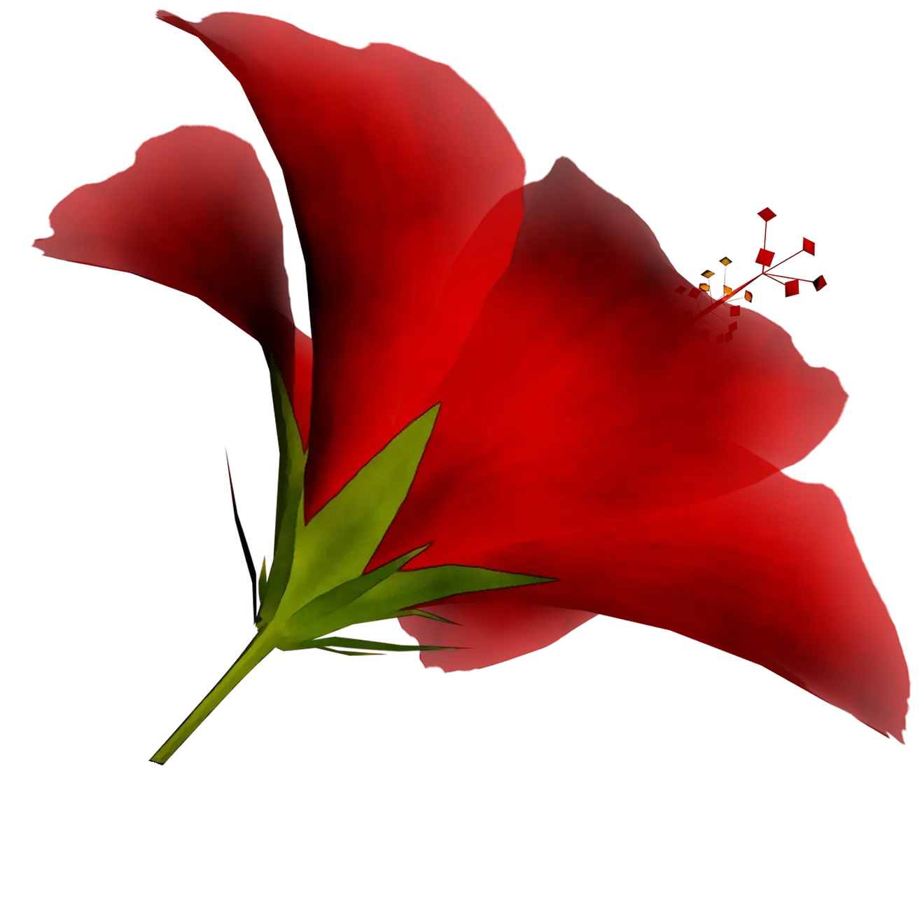 Red Hibiscus Flower Artwork