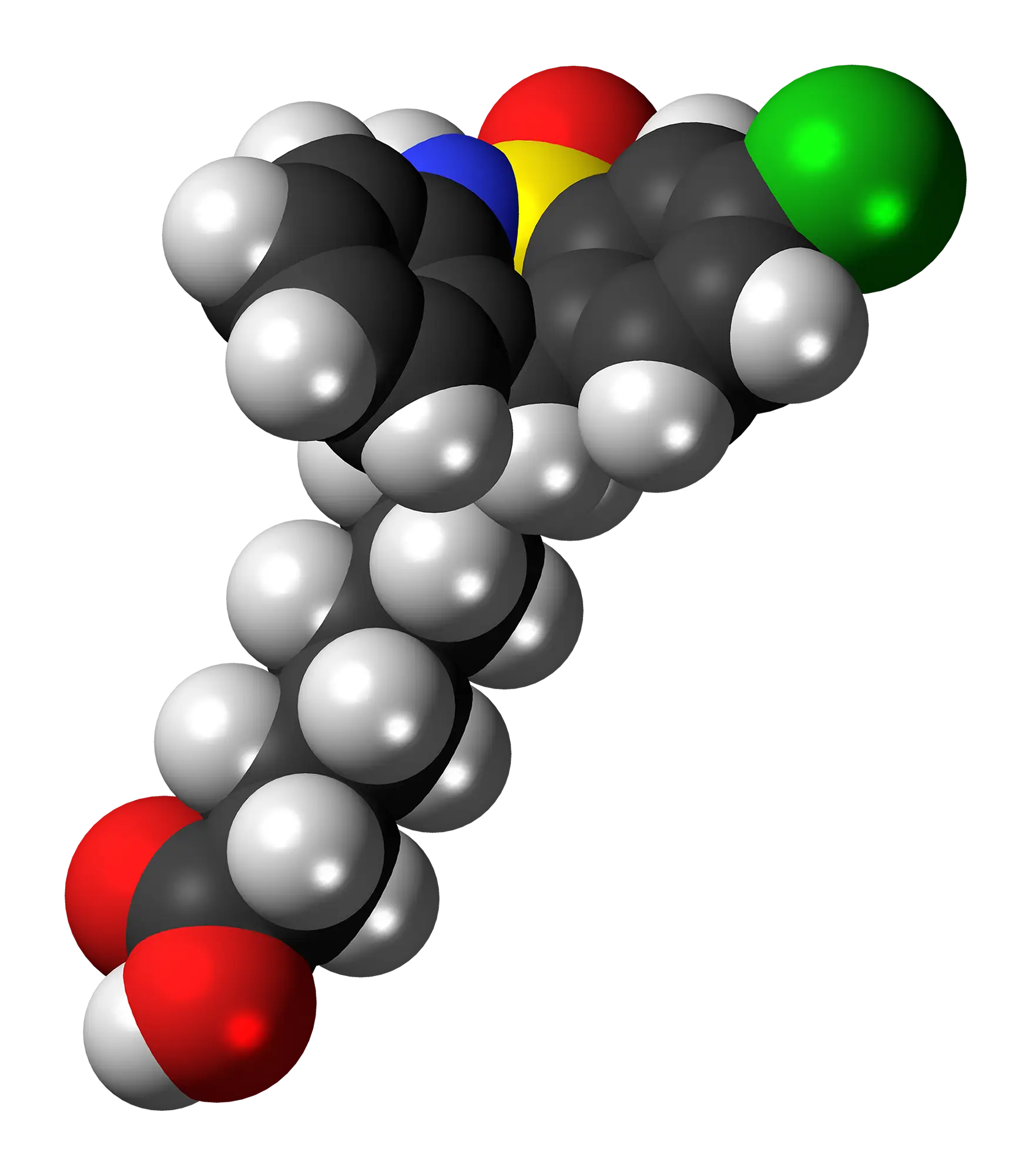 3D Molecular Structure Model Representation