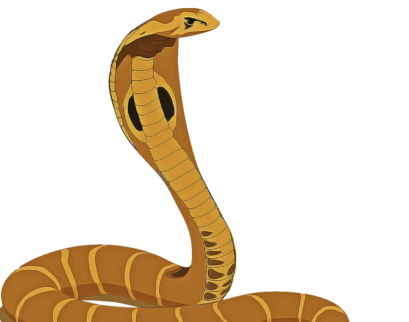 Cobra Snake Illustration with Hood