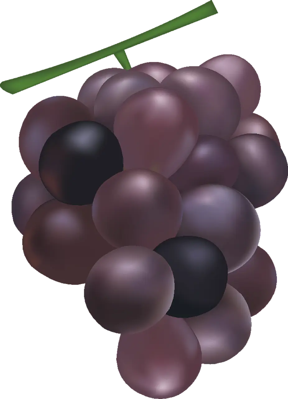 Dark Purple Grape Illustration in Cartoon Style