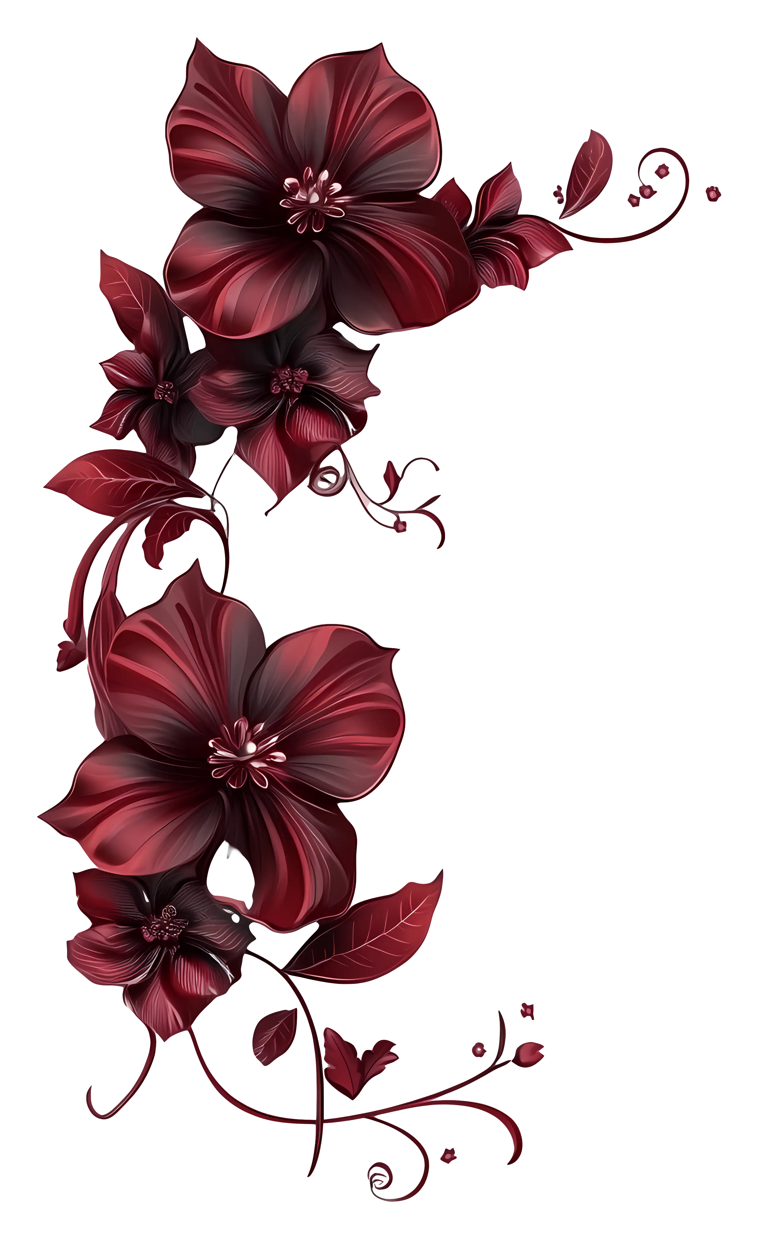 Beautiful Red Flowers