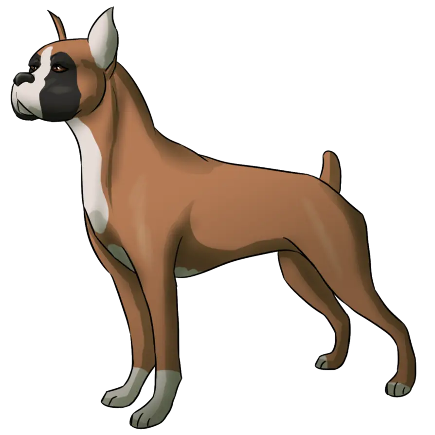 Boxer Dog Illustration