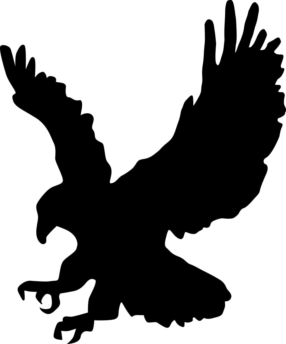 Silhouette of an Eagle in Flight