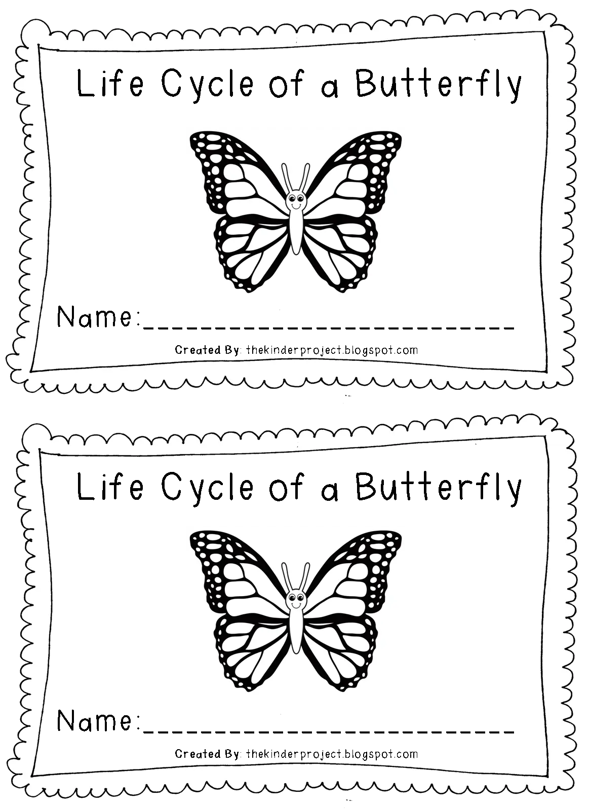 Life Cycle of a Butterfly Worksheet