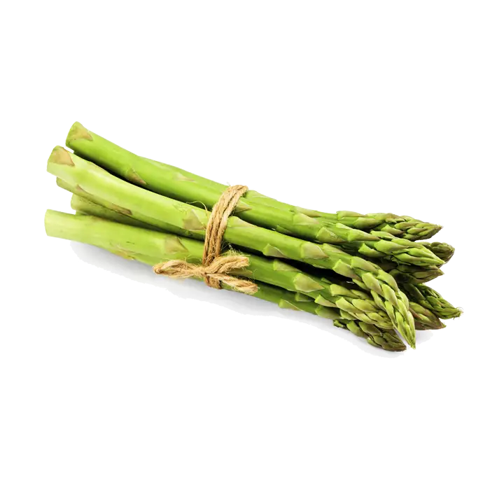 Fresh Bundle of Asparagus