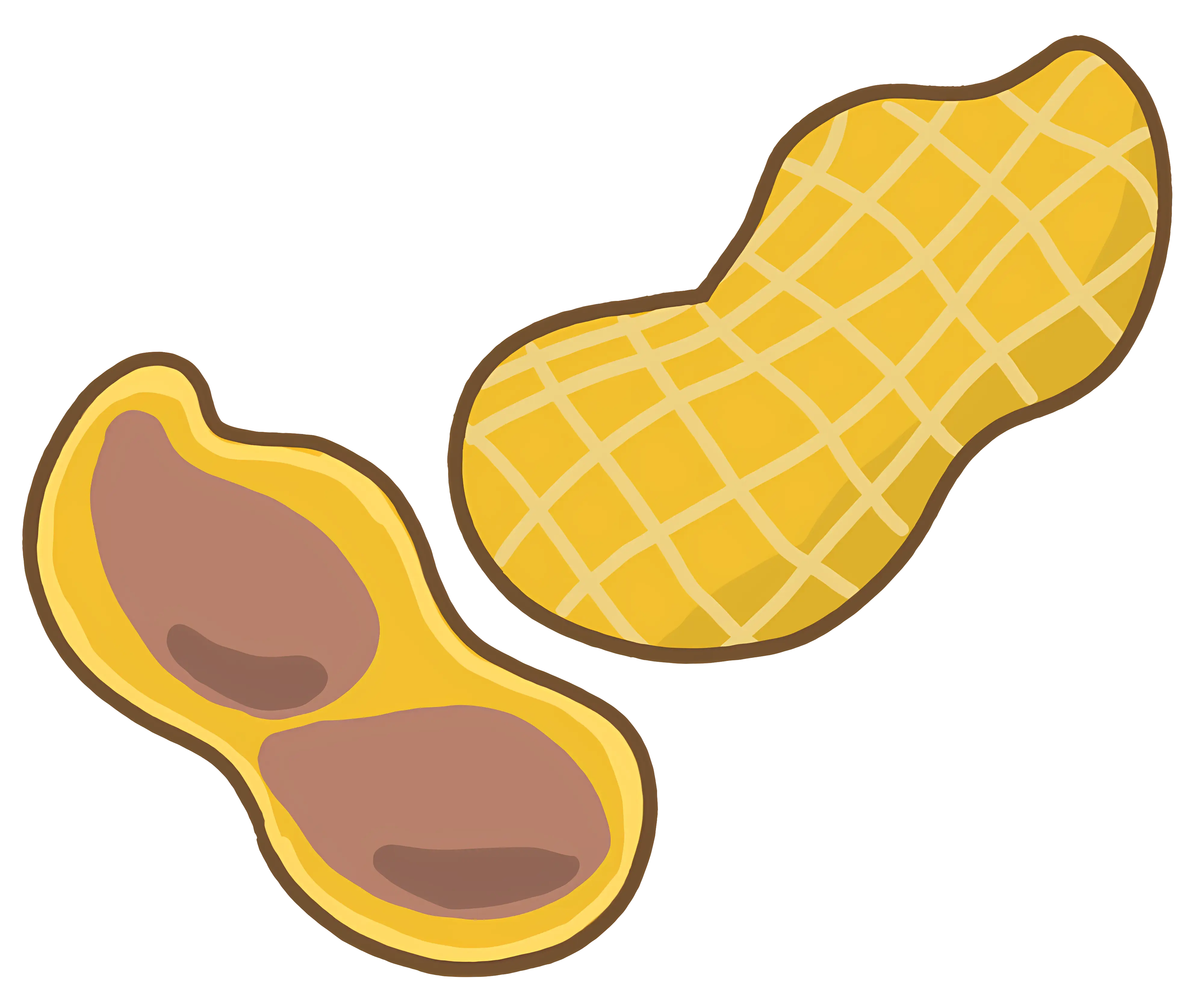 Peanut with Shell and Kernels