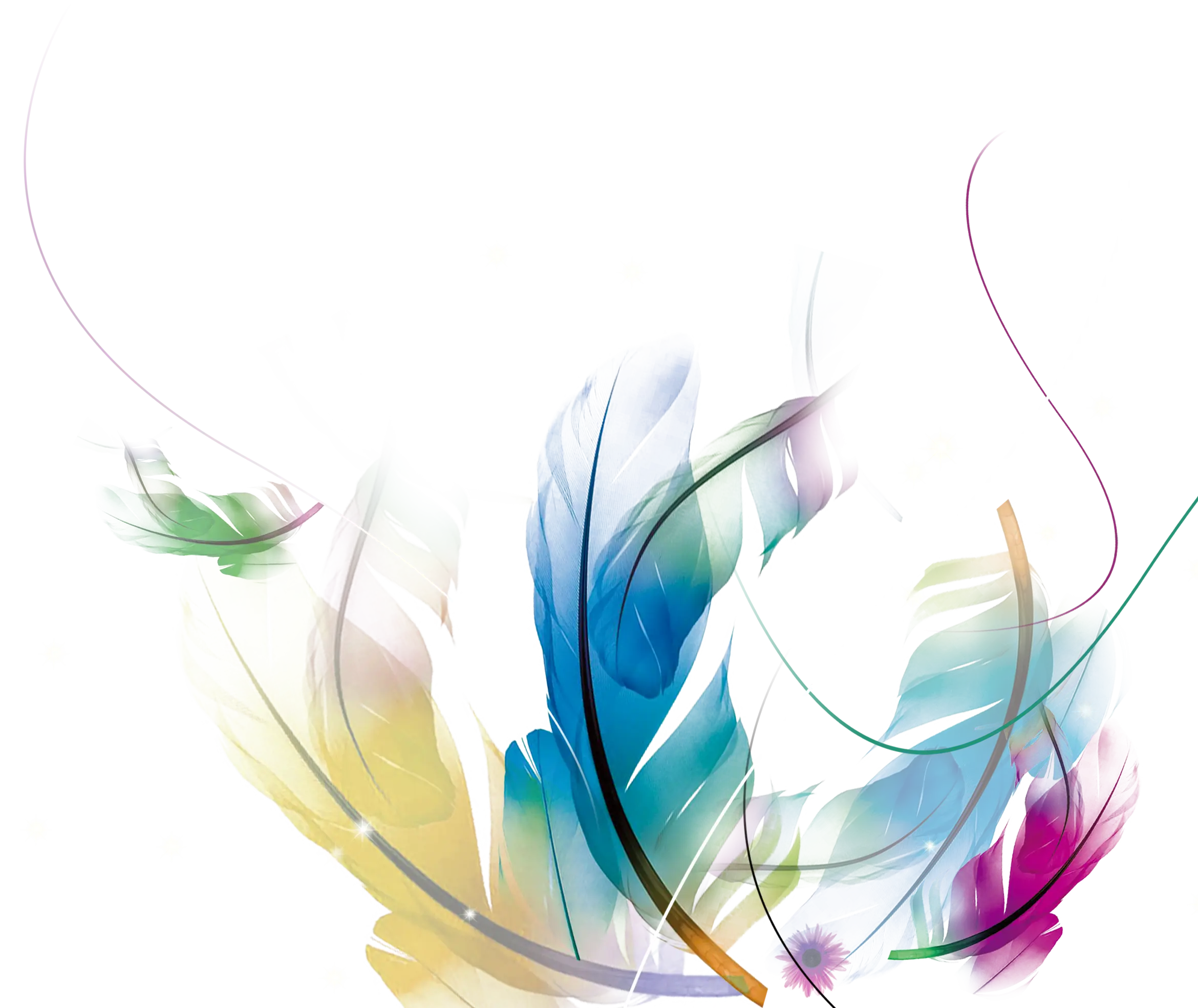 Colorful Abstract Feathers Design