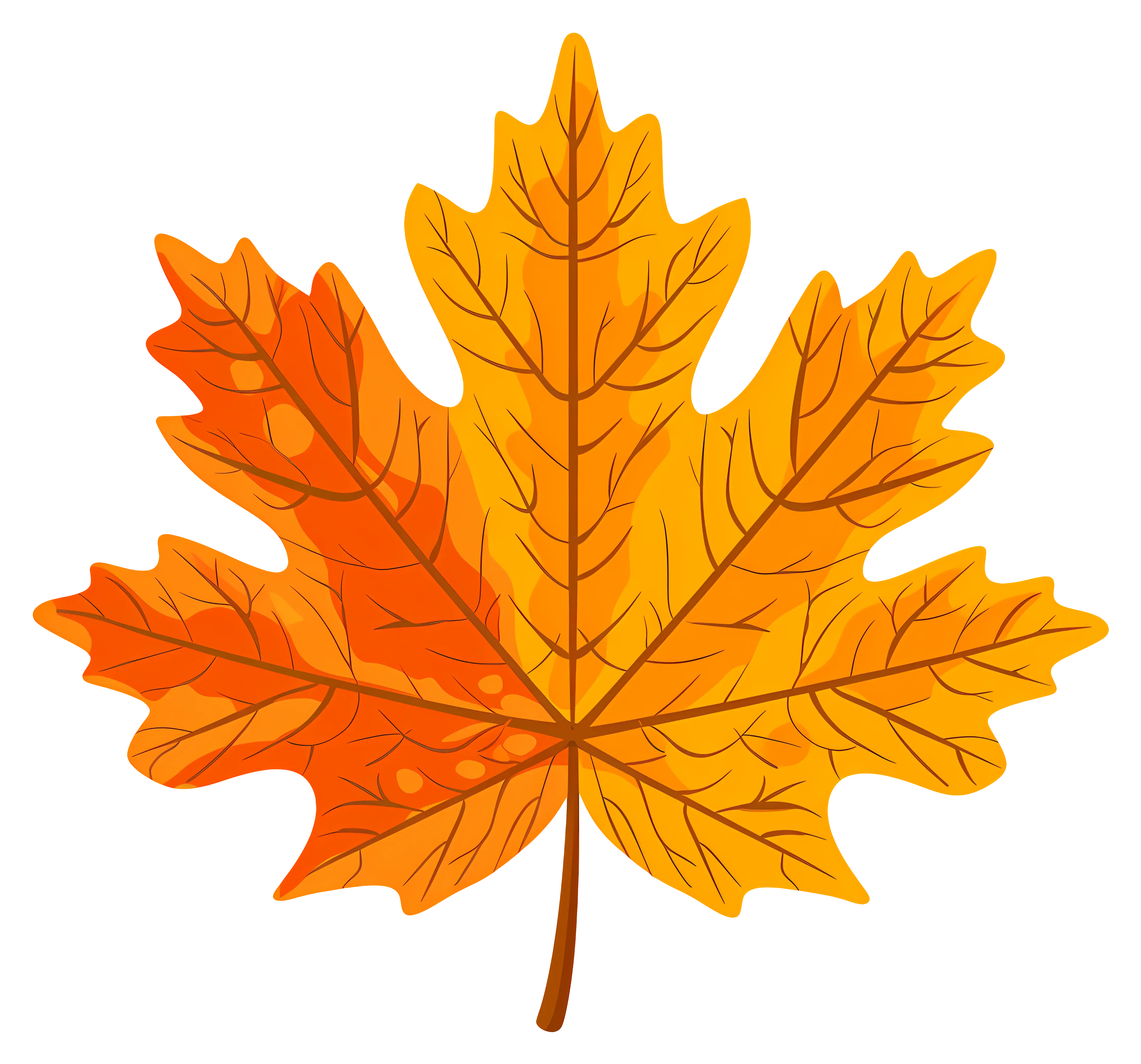 Yellow and Orange Autumn Leaf Illustration
