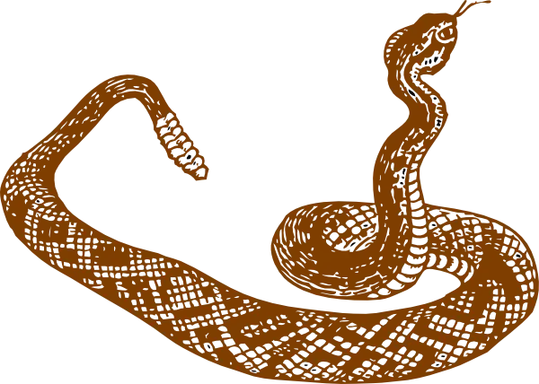 Illustration of Brown Coiled Snake