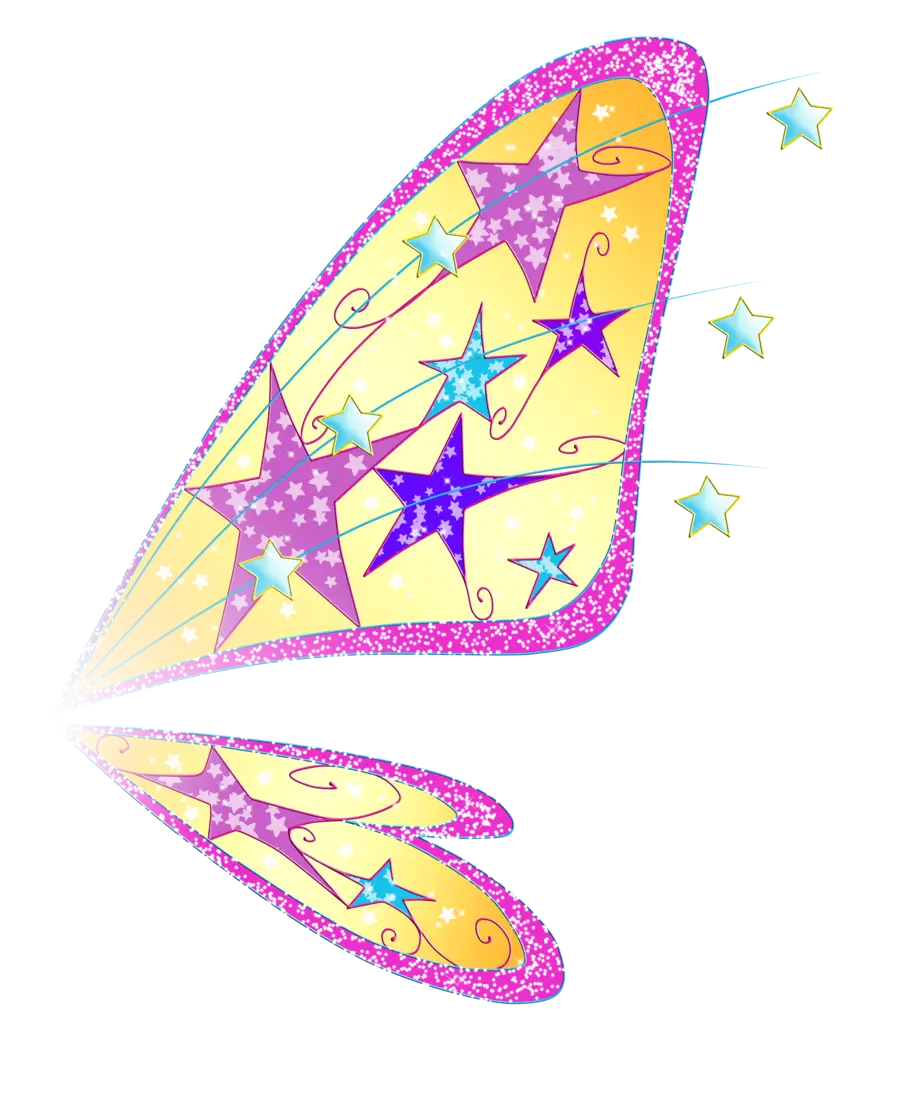 Magical Wings with Star Decorations