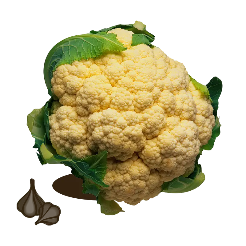 Fresh Cauliflower with Leaves Illustration