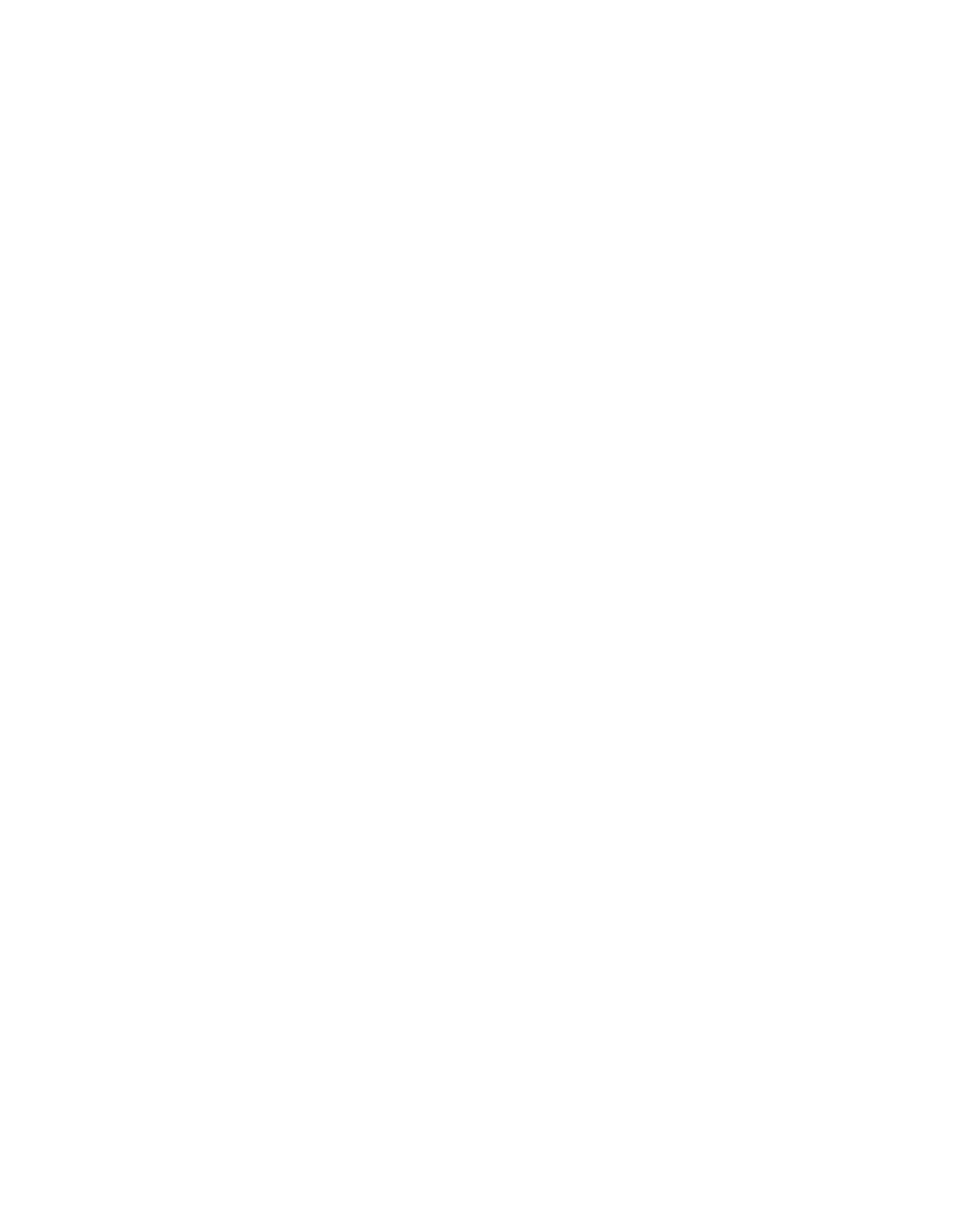Transparent Blank Design Overlay Pattern