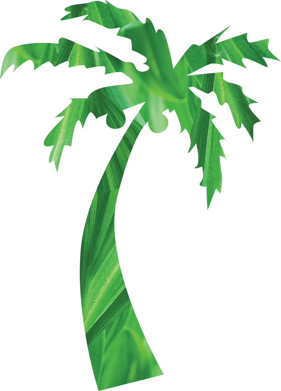 Green Palm Tree Illustration