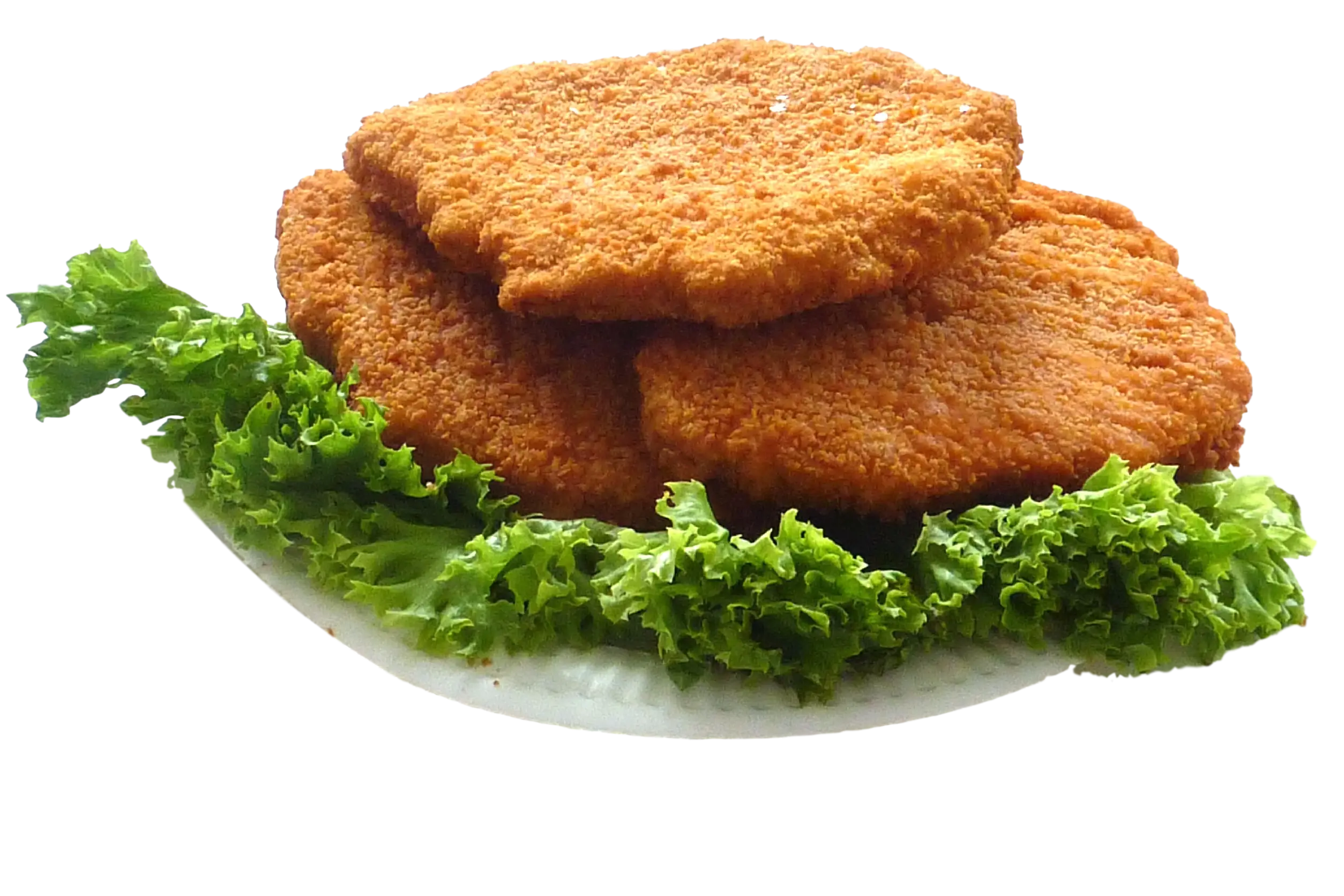 Crispy Fried Cutlets on a Plate with Lettuce