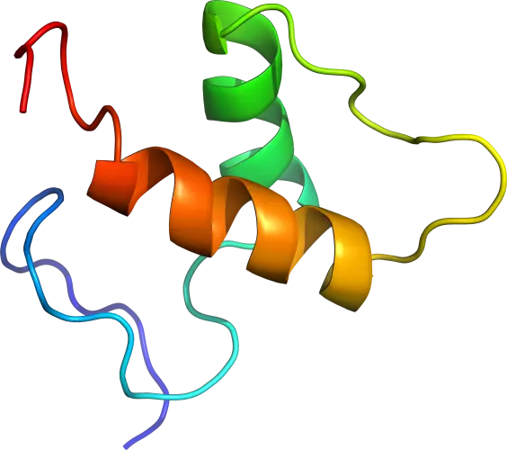 Protein Structure Illustration in Science Concept