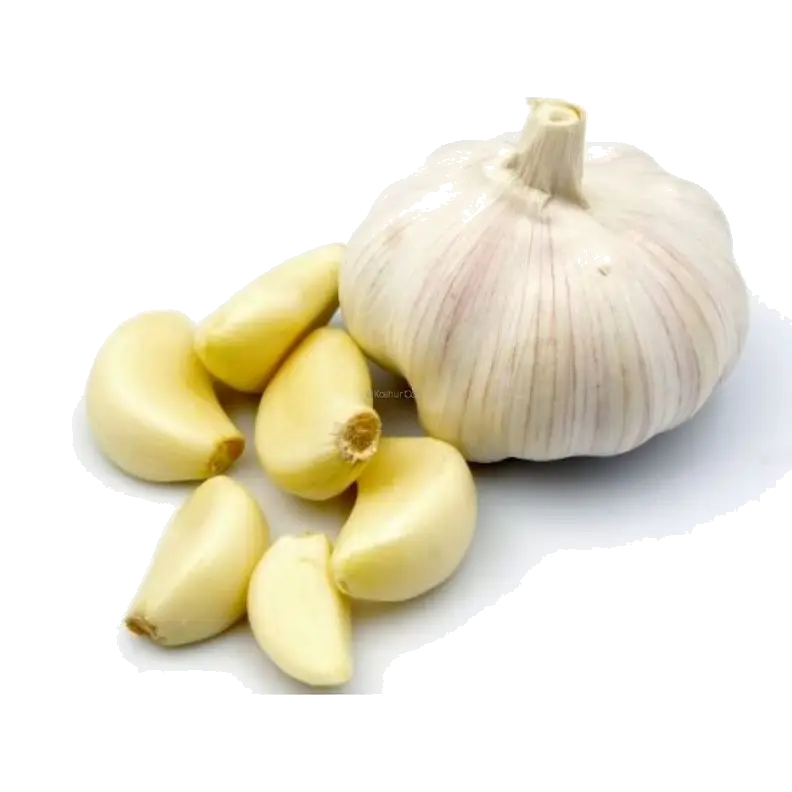 Fresh Garlic Bulb with Cloves