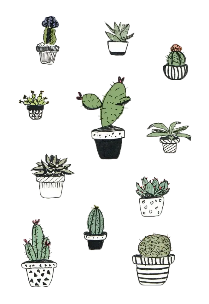 Doodle Style Potted Cacti Illustrations