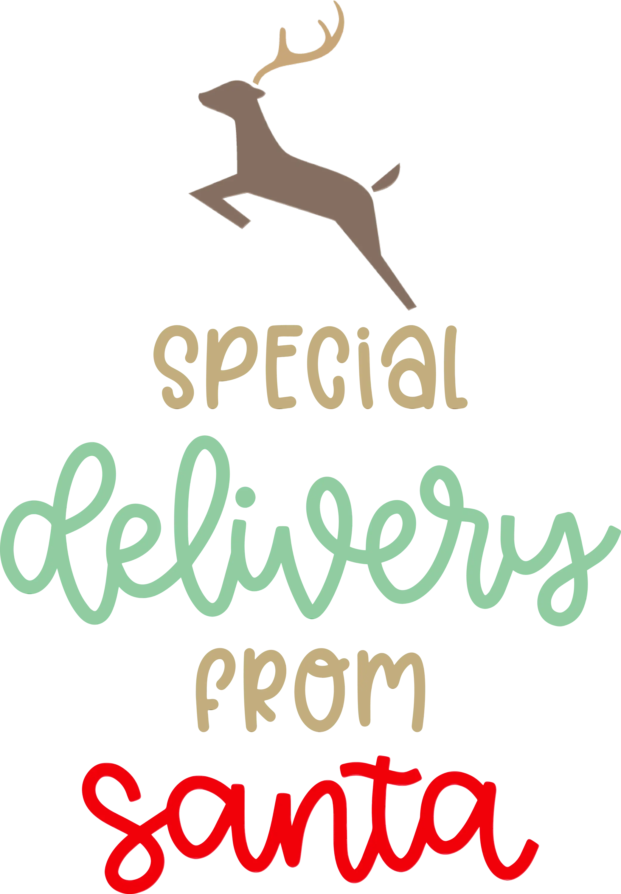 Special Delivery from Santa Graphic Design