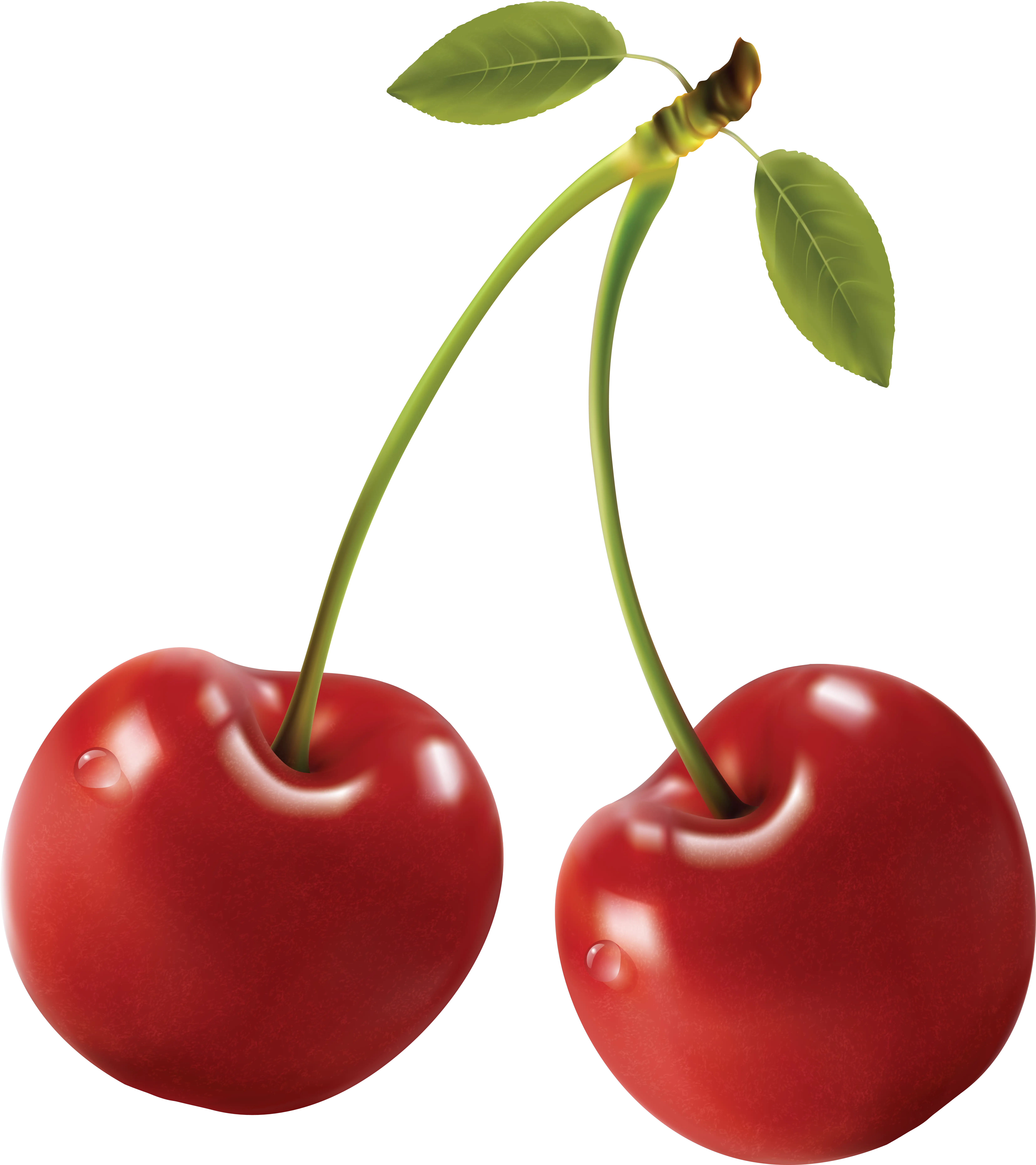 Realistic Red Cherries with Green Leaves