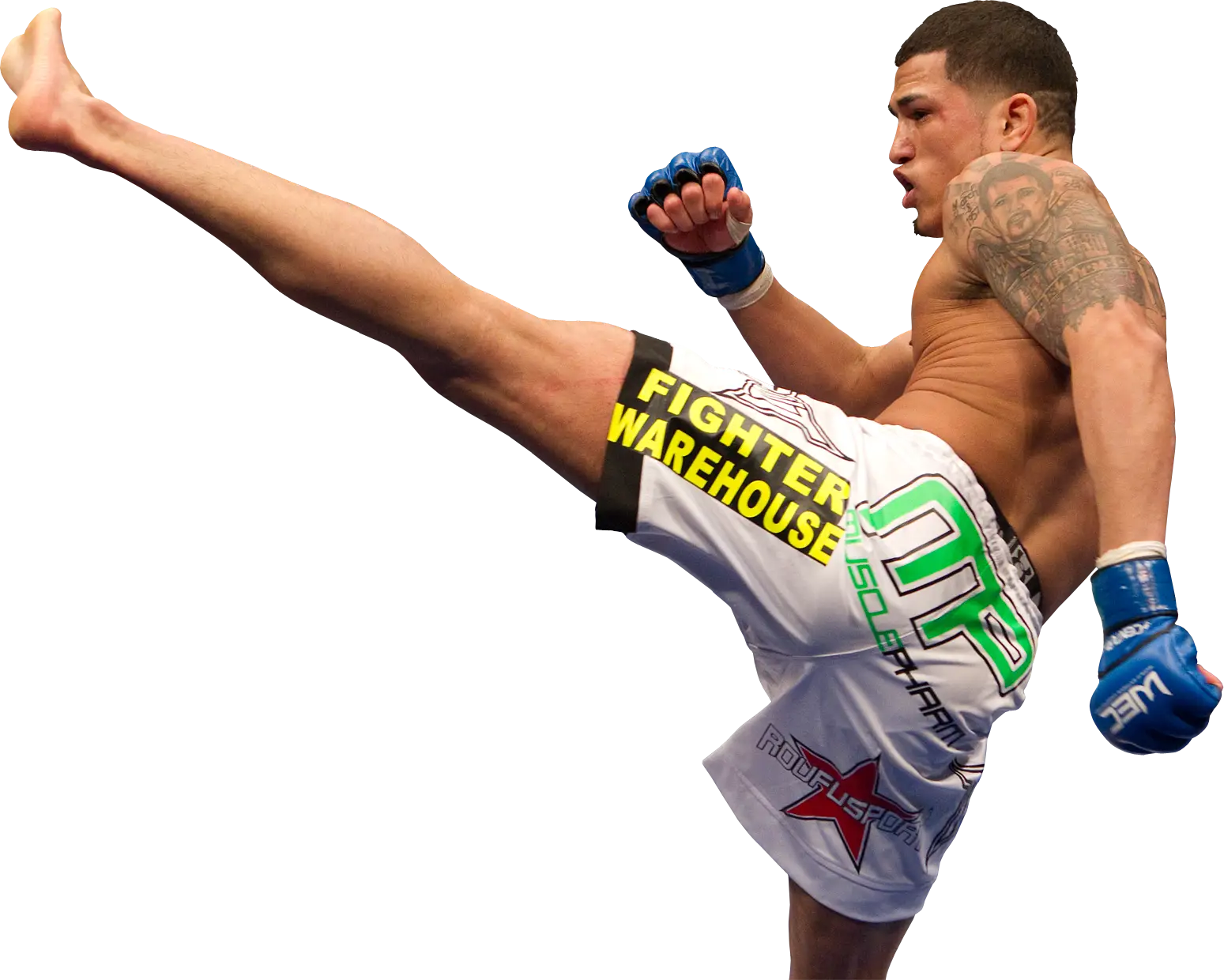 Martial Artist Performing a High Kick