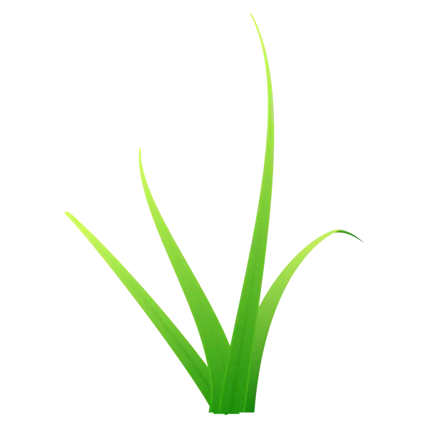 Vibrant Green Grass Blades