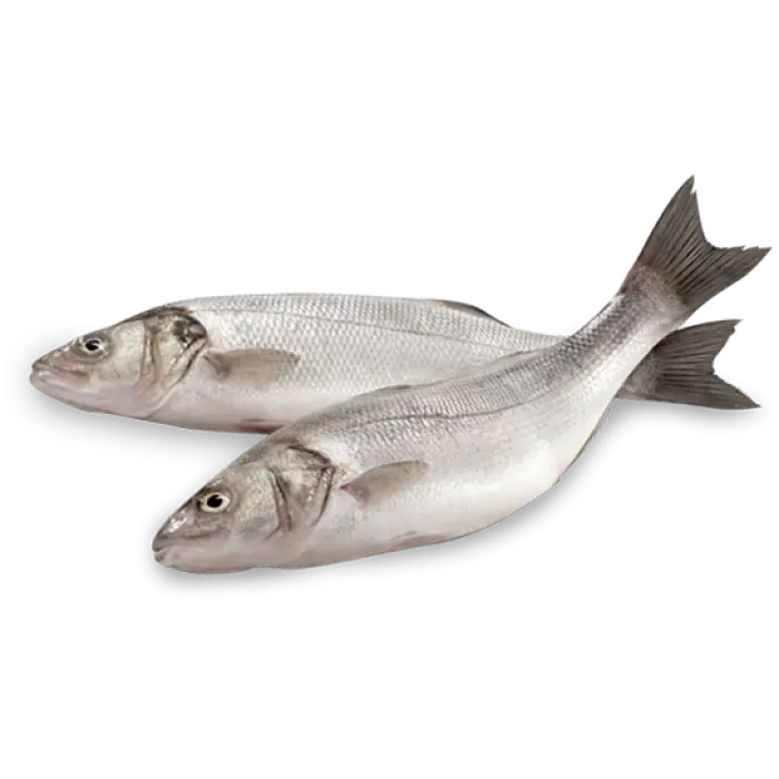 Pair of Fresh Silver Fish