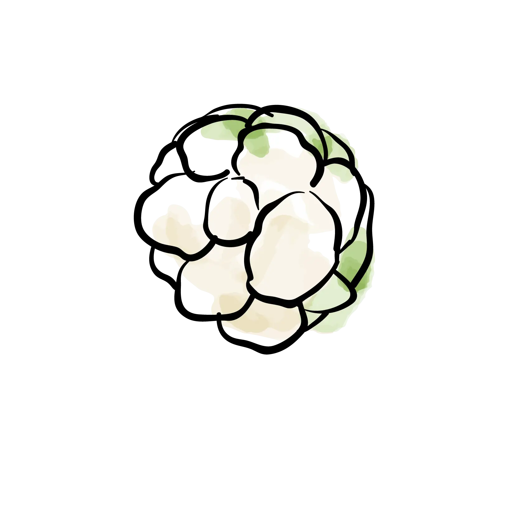 Cauliflower Illustration