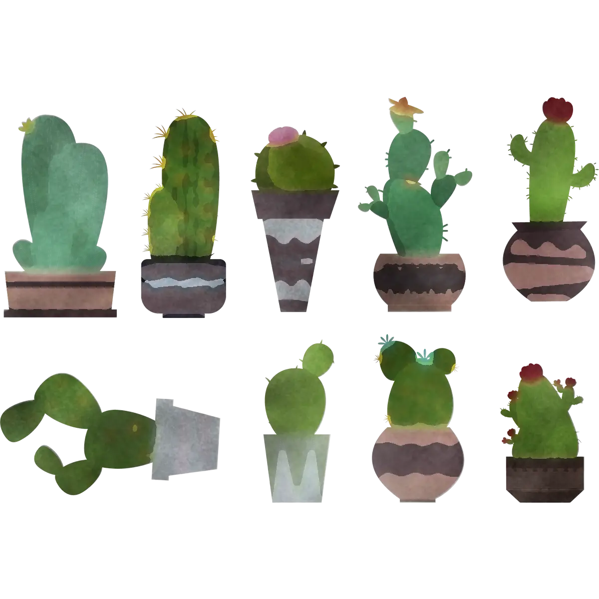 Various Cactus Illustrations in Watercolor Style