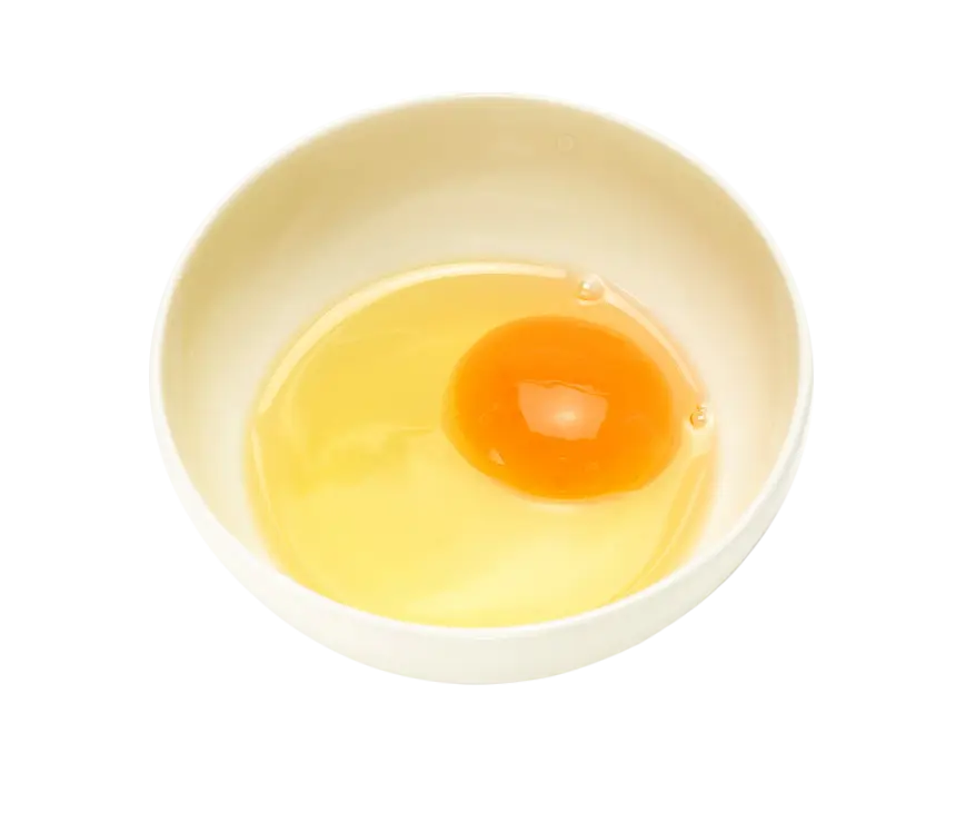 Egg in Bowl Illustration