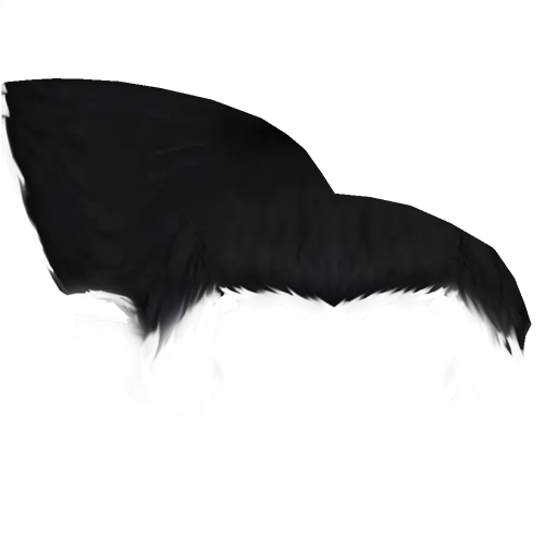 Black Bat Wing Design Element