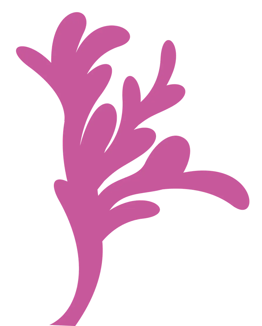 Pink Coral Shape Illustration for Ocean Themes