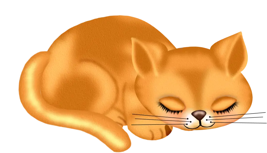 Sleeping Cartoon Cat
