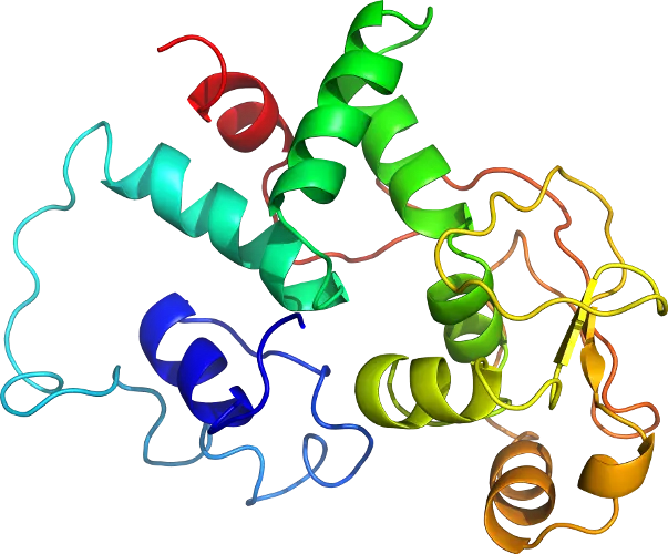 Colorful Protein Structure Diagram