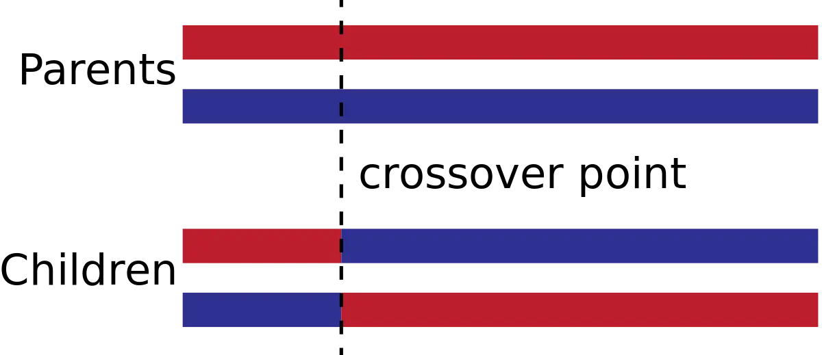 Genetic Crossover Diagram