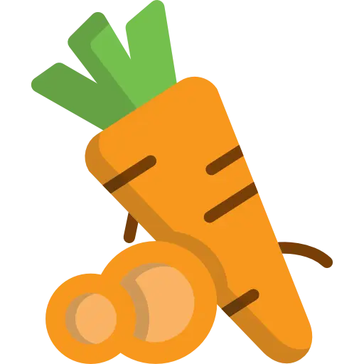 Carrot with Slices in Illustration Style