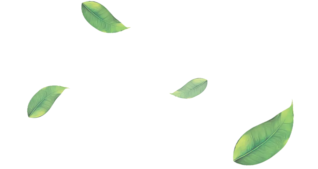 Falling Green Leaves Illustration