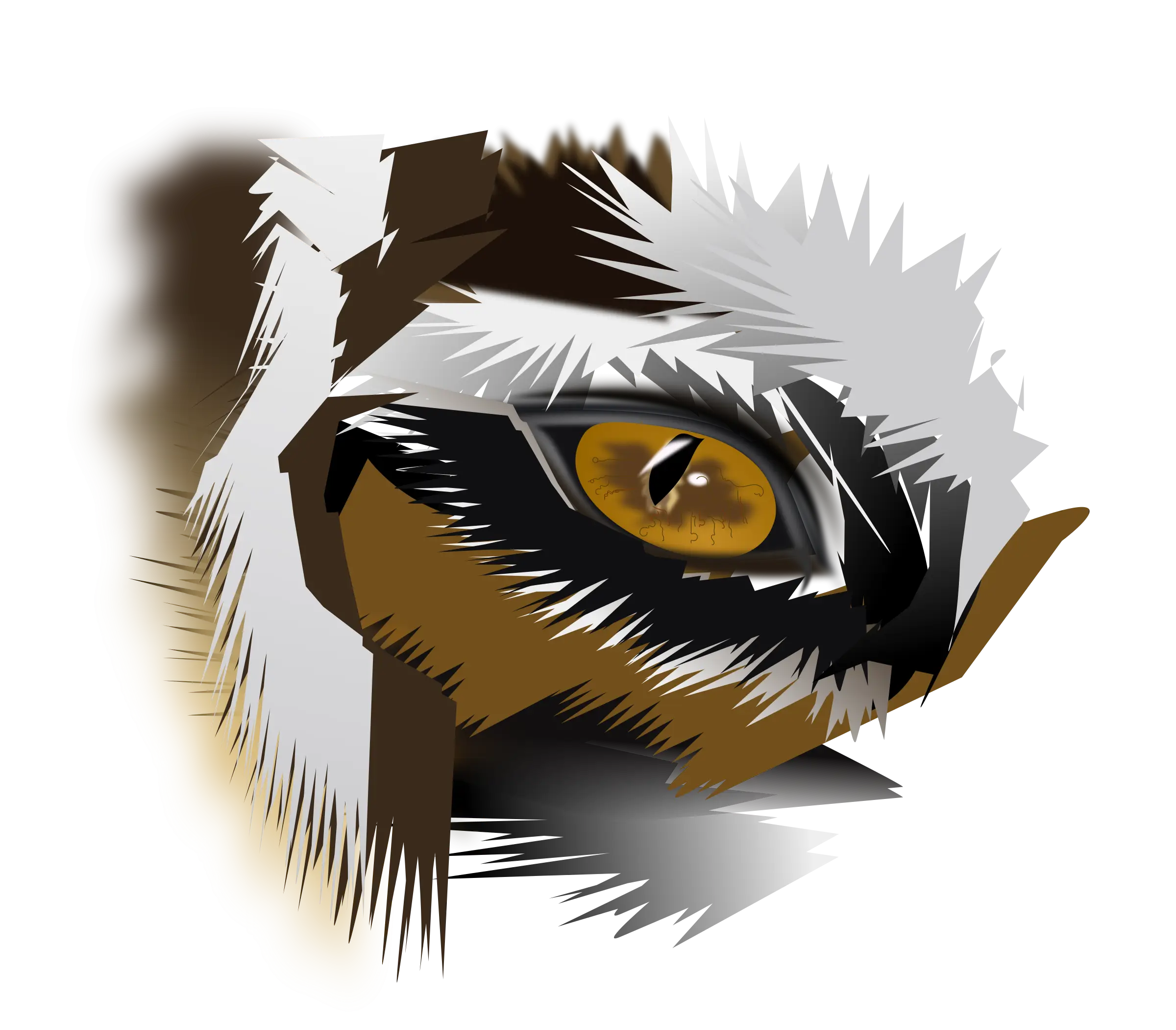 Stylized Owl Eye Illustration