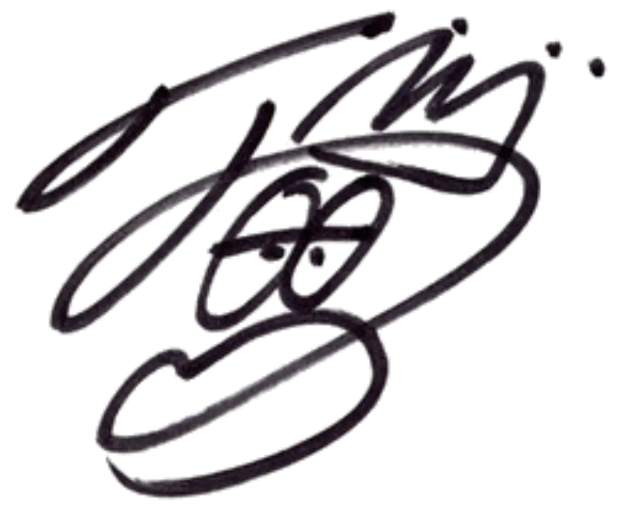 Abstract Signature Artwork Illustration
