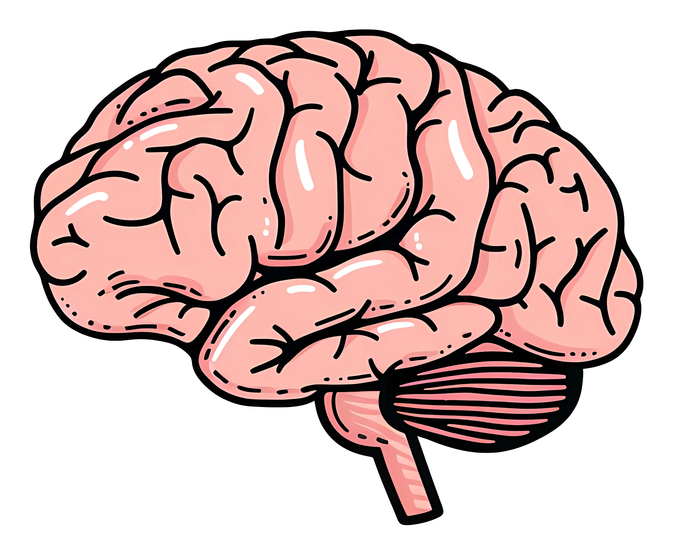 Brain Illustration for Educational Concepts