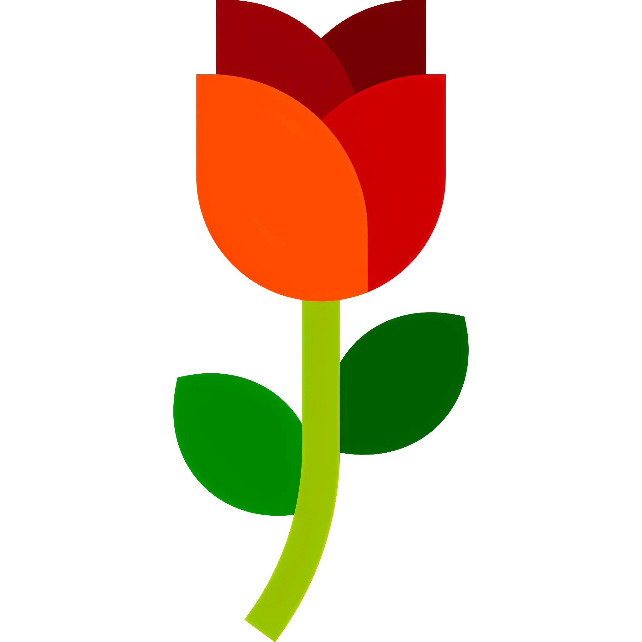 Colorful Tulip Flower Illustration