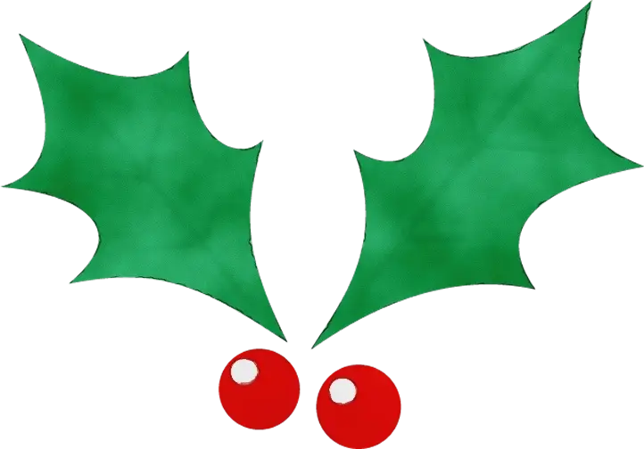 Holly Leaves and Berries for Christmas